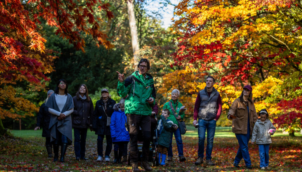 Johnny Hathaway_Autumn_2025 (45)