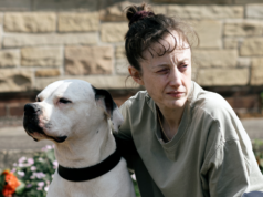 Swindon Film launches new season with acclaimed thriller Dragonfly