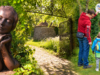 Sound baths, sculpture and half-term wildlife trail coming to Avebury this October